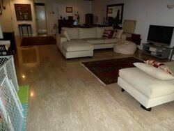 Sommerville Park (D10), Condominium #473780241